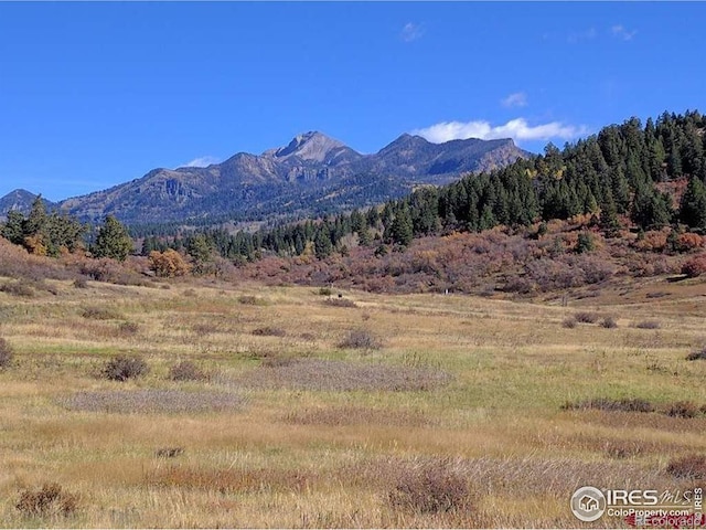 919 Roush Dr, Pagosa Springs CO, 81147 land for sale