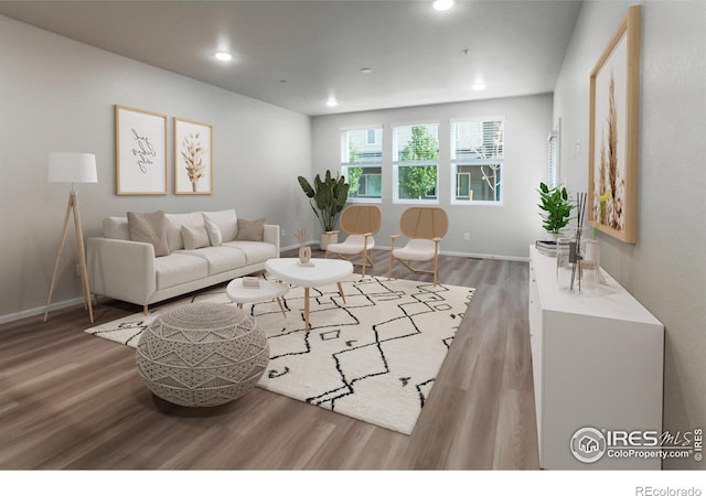 living room with wood-type flooring