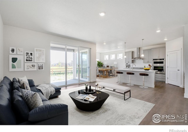 living room featuring hardwood / wood-style floors and sink