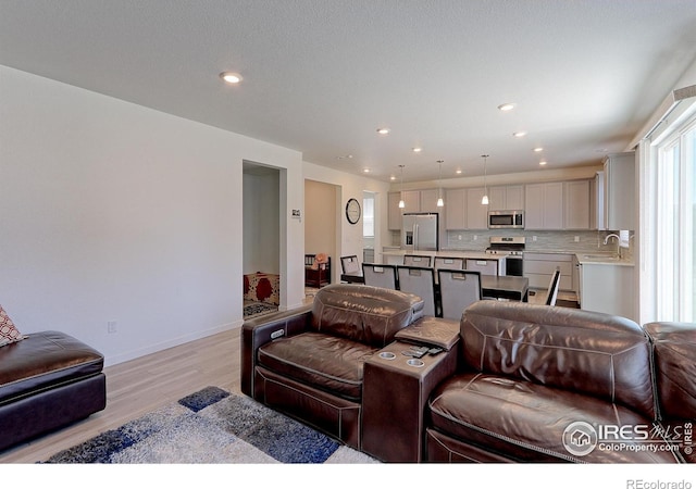 living room with light wood-type flooring