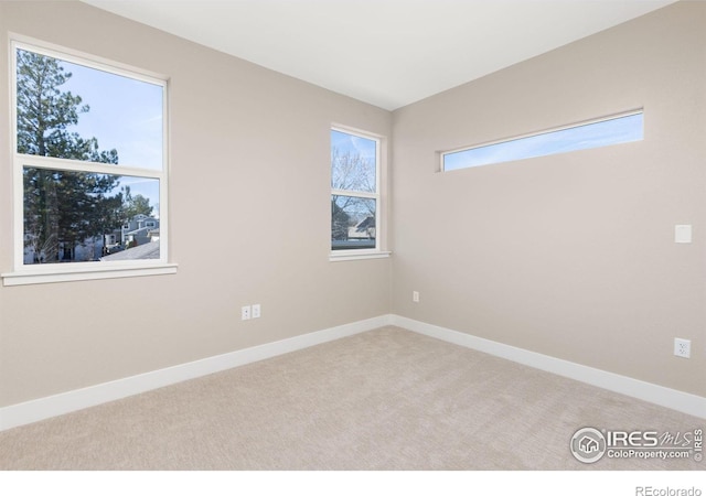 unfurnished room with carpet flooring