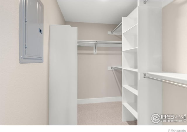 spacious closet with electric panel and light carpet