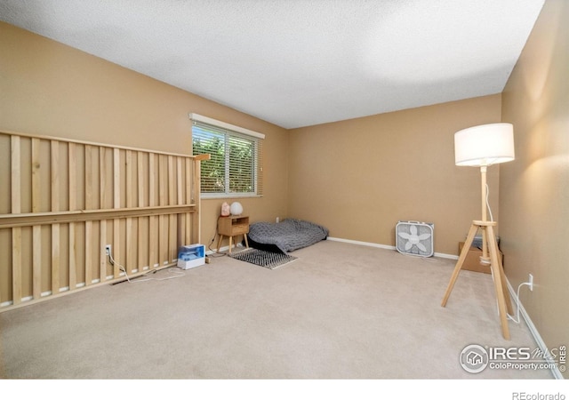 interior space featuring a textured ceiling, carpet, and baseboards