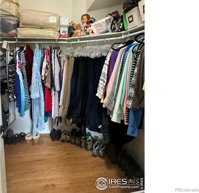 spacious closet with wood-type flooring