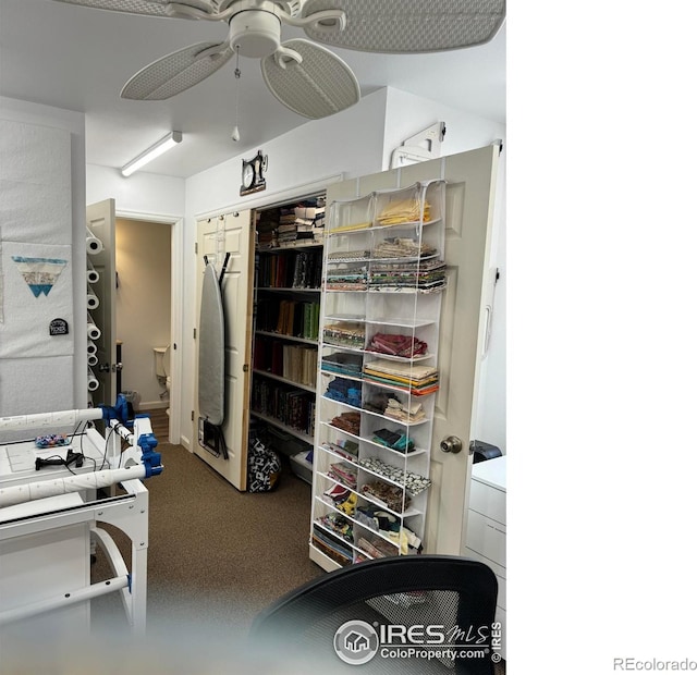 spacious closet featuring carpet and ceiling fan