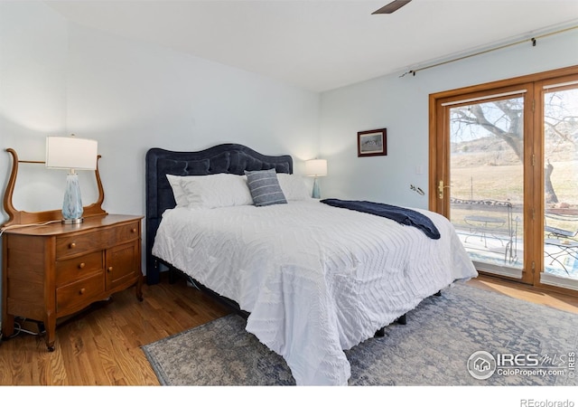 bedroom featuring ceiling fan, access to exterior, multiple windows, and light hardwood / wood-style floors