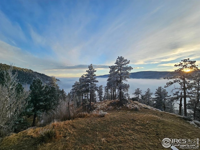 property view of water featuring a mountain view