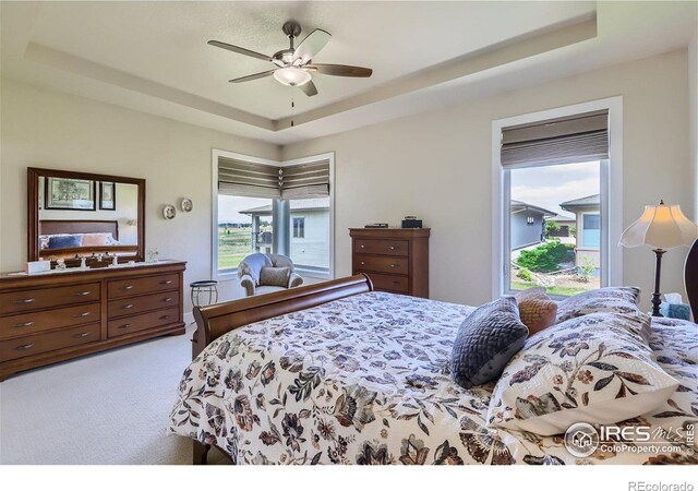 bedroom featuring carpet, ceiling fan, and a tray ceiling