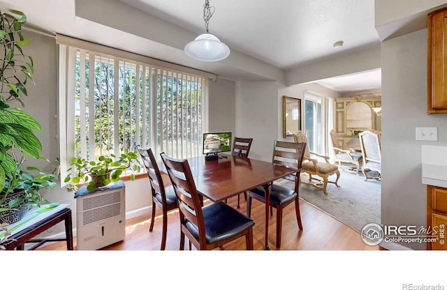 dining area featuring light hardwood / wood-style flooring