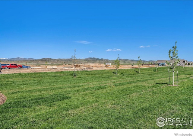 view of yard with a mountain view and a rural view