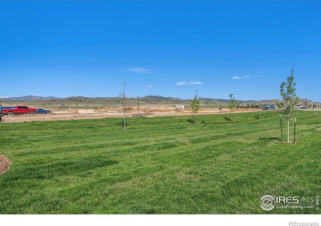 5042 Stonewall St, Loveland, CO 80538 - photo 19
