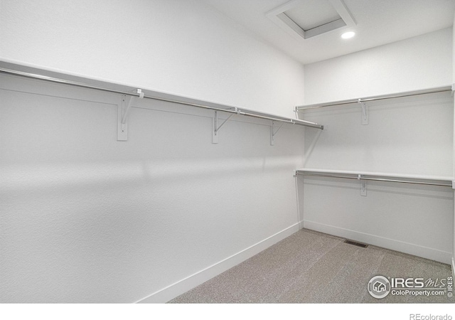 walk in closet with light carpet