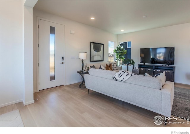 living room with wood-type flooring