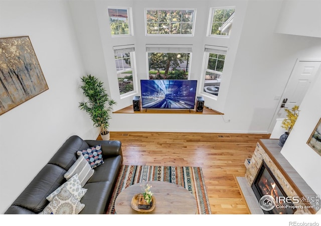 living room with wood-type flooring