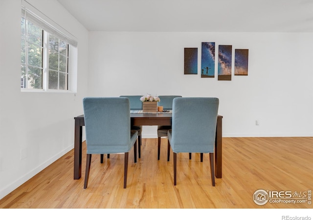 dining room featuring wood-type flooring