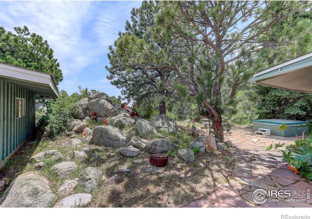 view of yard featuring a patio