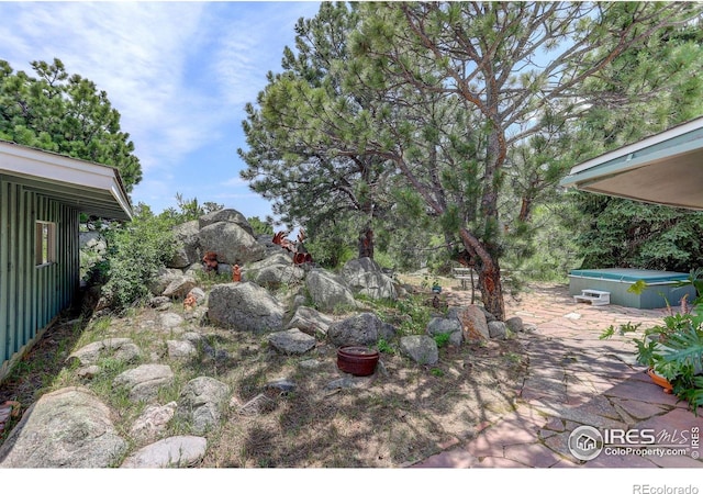 view of yard featuring a patio and a hot tub