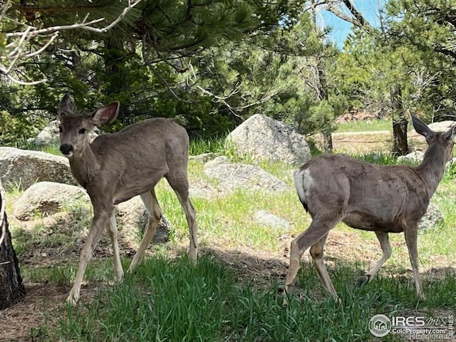 107 Deer Trail Rd, Boulder, CO 80302 - exterior view