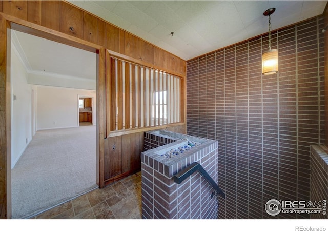 kitchen with carpet flooring, ornamental molding, and wood walls