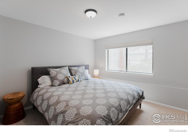 bedroom featuring carpet flooring