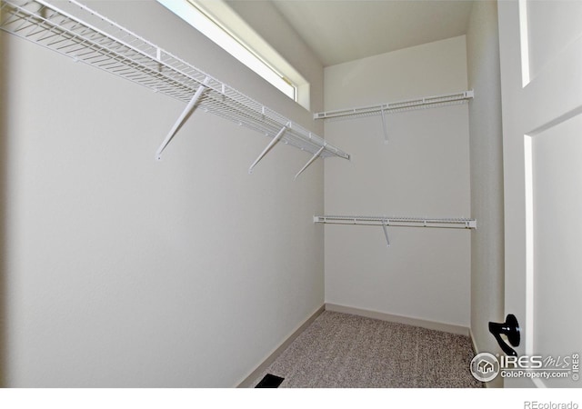 spacious closet featuring carpet floors