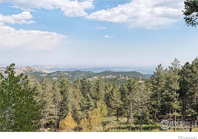 view of mountain feature with a wooded view