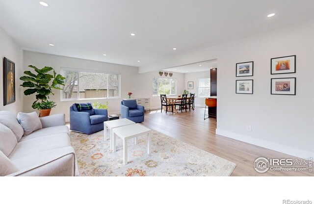 living room with light hardwood / wood-style flooring