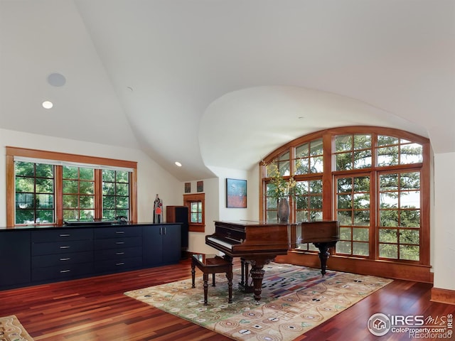 misc room with vaulted ceiling and dark hardwood / wood-style flooring