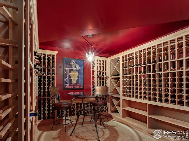 wine cellar with hardwood / wood-style floors