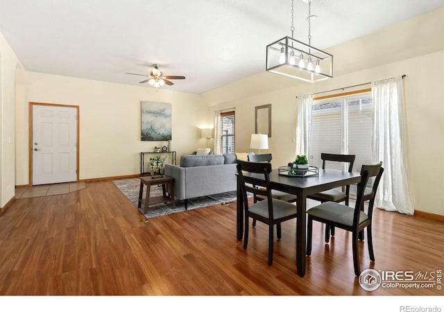 dining area featuring hardwood / wood-style floors and ceiling fan