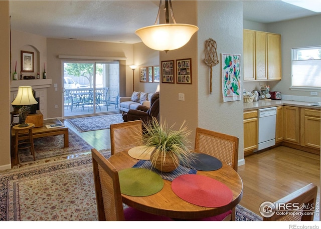 dining space with light hardwood / wood-style flooring