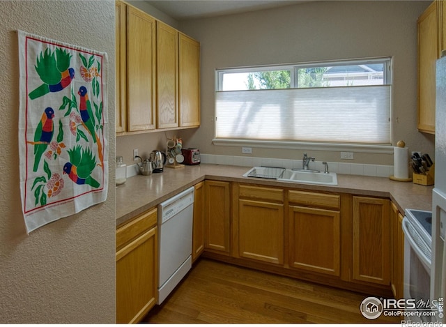 kitchen featuring white appliances, light wood-type flooring, light brown cabinets, and sink