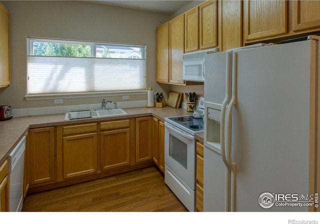 kitchen featuring sink, white appliances, and light hardwood / wood-style floors