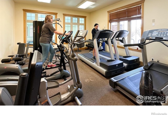 gym featuring a wealth of natural light