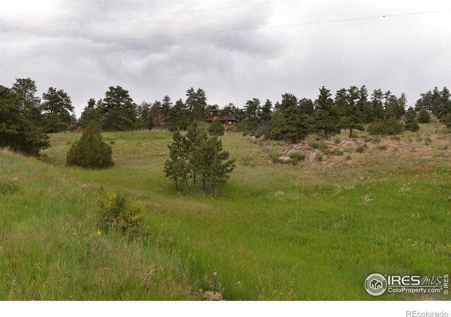 565 Le Conte Dr, Livermore, CO 80536