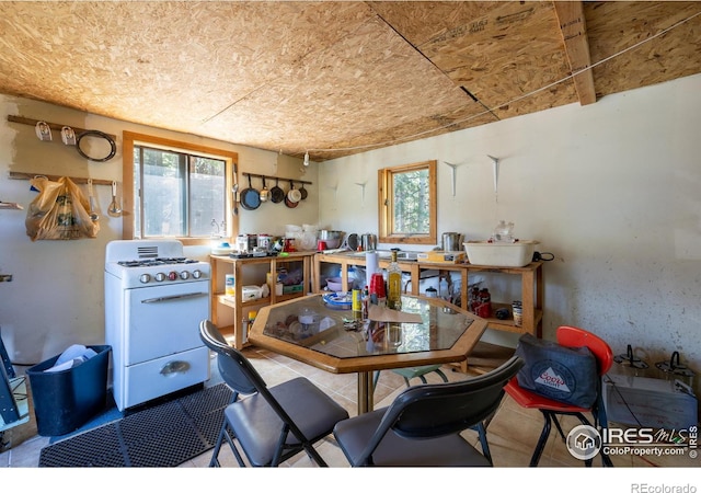 dining room featuring a wealth of natural light