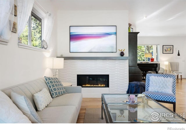 living room featuring hardwood / wood-style floors