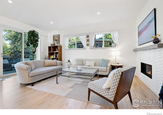 living room featuring a stone fireplace and light wood-type flooring