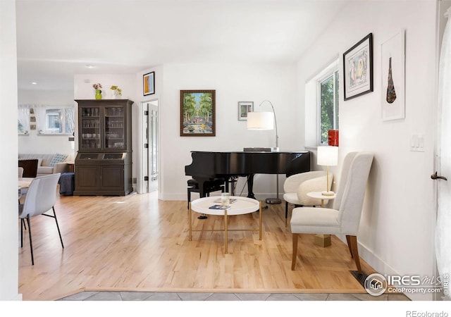 sitting room featuring wood-type flooring