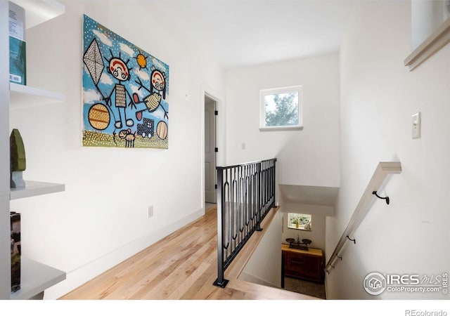 stairway with wood-type flooring