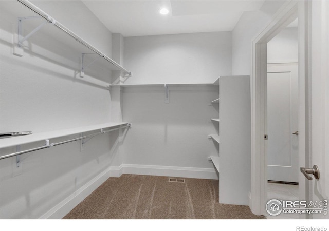 walk in closet featuring light colored carpet