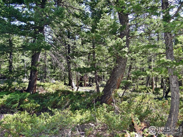 257 Jicarilla Trl, Red Feather Lakes CO, 80545 land for sale