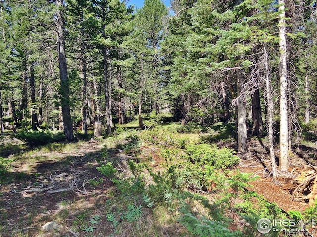 Listing photo 3 for 257 Jicarilla Trl, Red Feather Lakes CO 80545