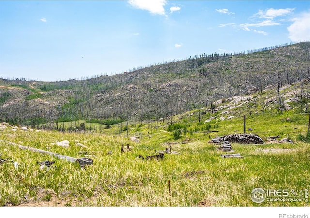 2384 Rist Creek Rd, Bellvue CO, 80512 land for sale