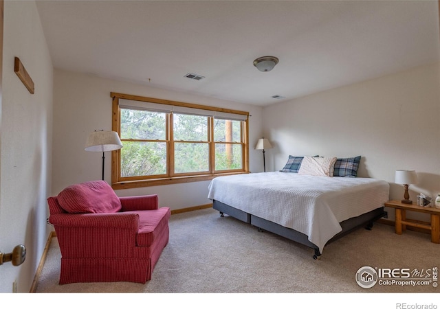 bedroom with carpet floors