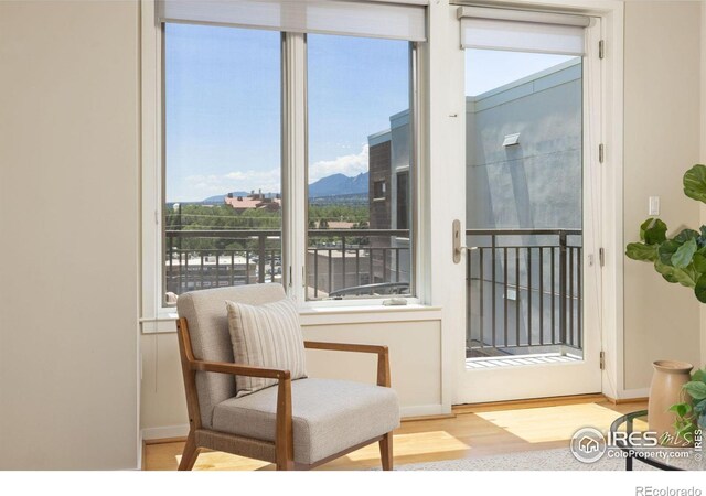 living area featuring light hardwood / wood-style floors and a mountain view