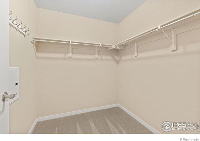 walk in closet with carpet floors