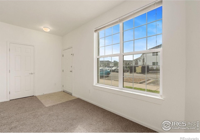 interior space with carpet