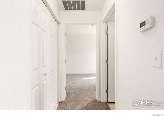 2990 W C St Unit 103, Greeley, CO 80631 - corridor with carpet flooring