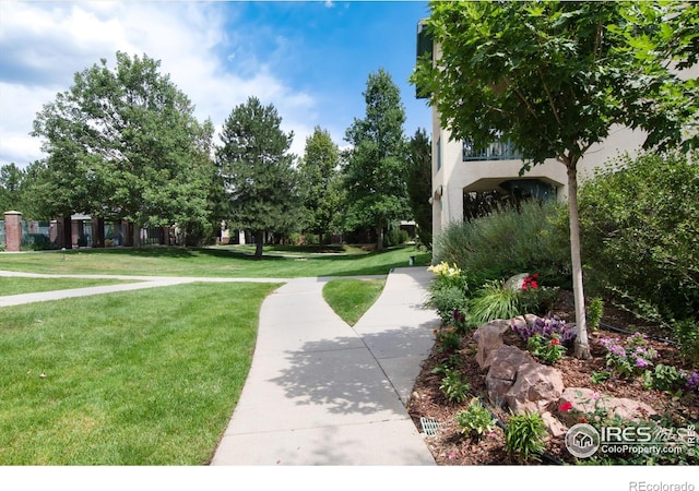 view of home's community featuring a yard